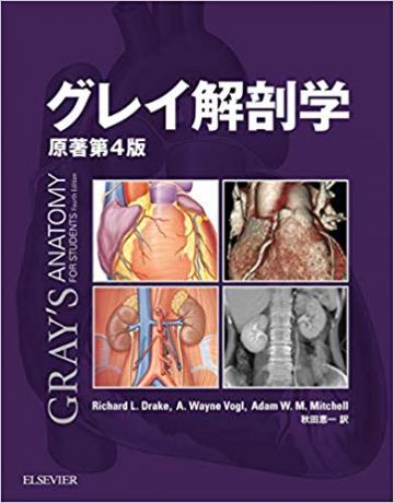 グレイ解剖学 原著第5版 / Anatomy 今日も明日も/グレイ解剖学